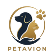  Petavion