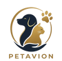  Petavion