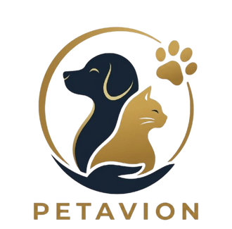  Petavion