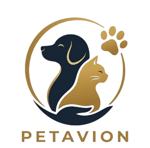  Petavion