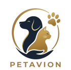  Petavion