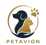  Petavion
