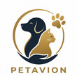  Petavion